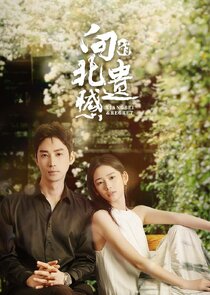 Xiangbei Regret — кадр