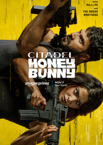 Citadel: Honey Bunny