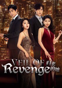 Veil of Revenge