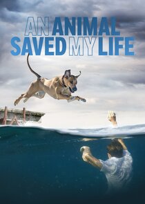 An Animal Saved My Life