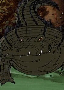 Alligator