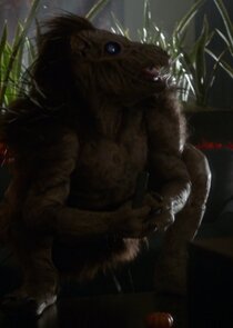 Chupacabra