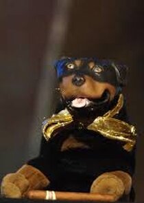 Triumph the Insult Comic Dog