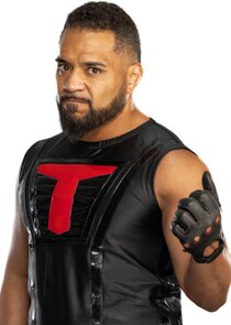 Tevita Tu'amoeloa Fetaiakimoeata Fifita
