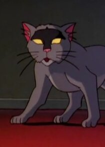 Ruby the Ghost Cat