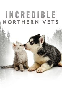 Incredible Northern Vets small logo