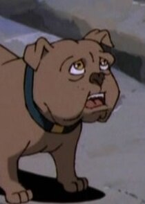 Winston