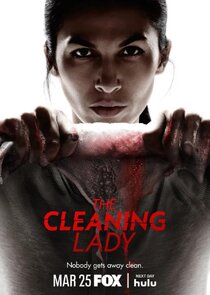 The Cleaning Lady