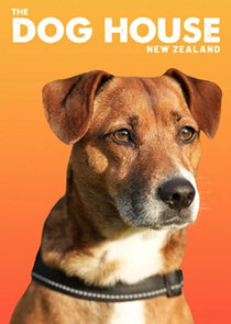 The Dog House NZ