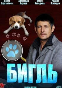 Бигль