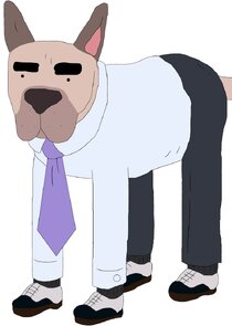 FM Dog