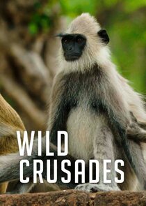 Wild Crusades — кадр