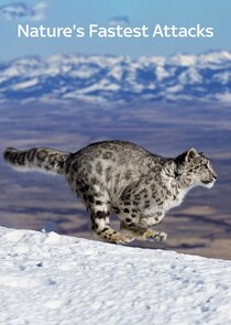 Nature's Fast Attacks