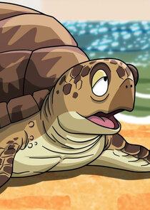 Turtle