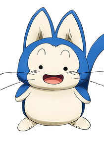 Puar