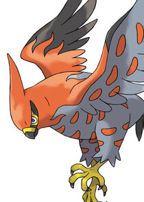 Talonflame