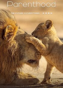 Parenthood — кадр