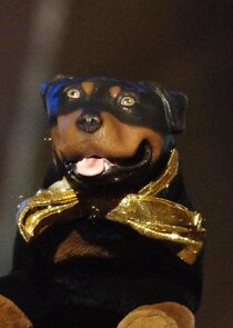 Triumph the Insult Comic Dog