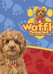 Waffles