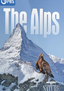 Die Alpen