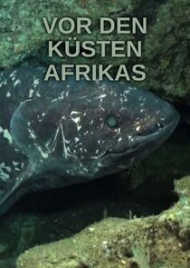 Oceans Africa