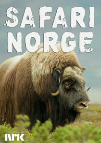 Safari Norge