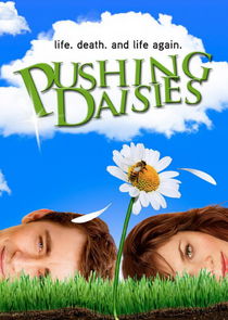 Pushing Daisies poszter