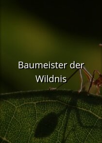 Baumeister der Wildnis