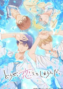 Anyway, I'm Falling in Love with You. Season 1