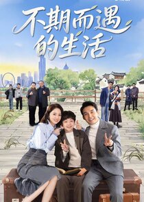 Life Optimal Solution