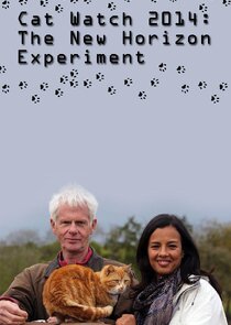 Cat Watch 2014: The New Horizon Experiment