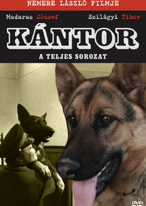 Kántor