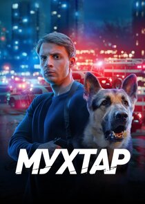 Возвращение Мухтара