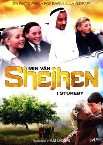 Min vän shejken i Stureby