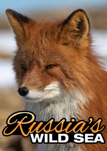 Russia's Wild Sea