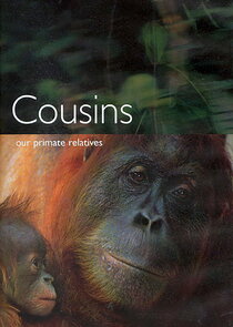 Cousins