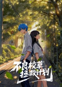 Bu Liang Xiao Cao Zheng Jiu Ji Hua