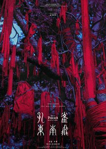 How A Peacock Burns Its Feathers