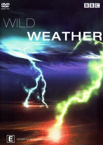 Wild Weather