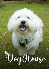 The Dog House poszter