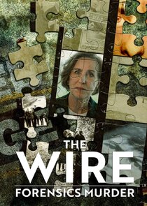 The Wire: Forensics Murder