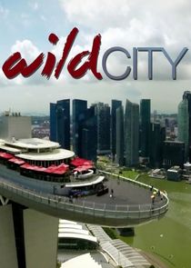 Wild City — кадр