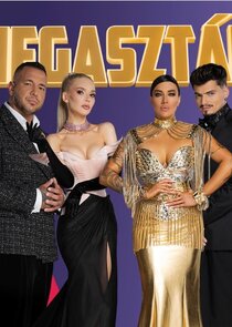 Megasztár Season 8