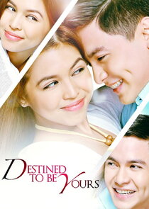 Destined To Be Yours poster