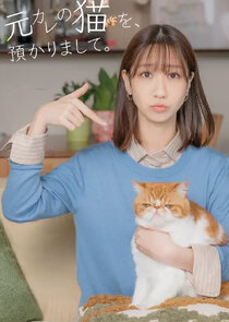 Moto Kare no Neko wo, Azukarimashite.