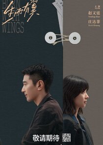 Born With Wings poster