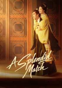 A Splendid Match poster