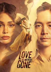 Love is Never Gone
