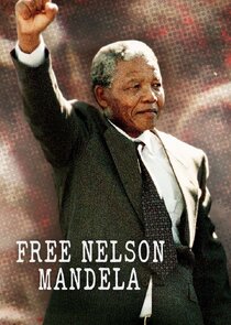 Free Nelson Mandela poster