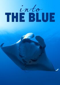 Into the Blue: Las maravillas del Triángulo de Coral